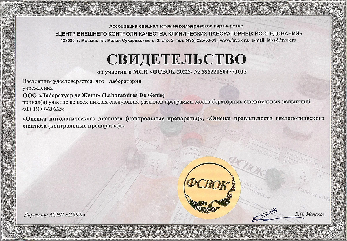 fsvok2022